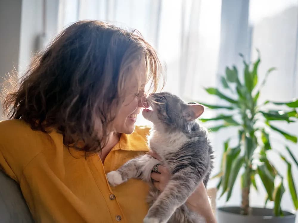 cat nibbling on person's nose