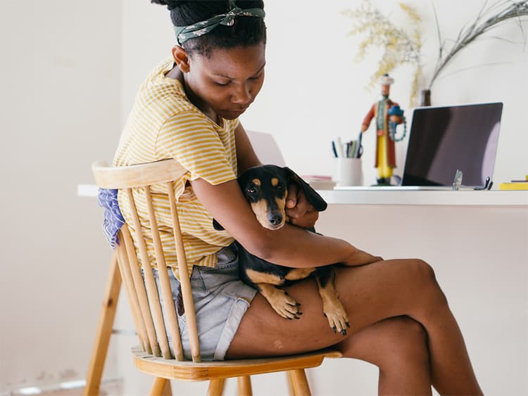 How a Little of the Good Stuff (CBD) Can Help Your Dog With Seizures