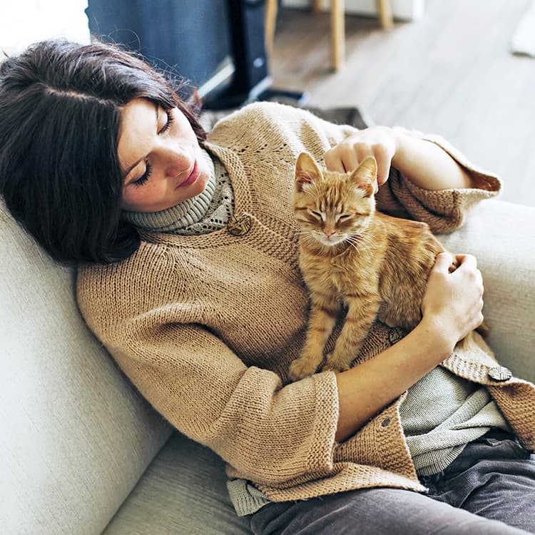 Kitten Diarrhea: Causes, Symptoms, and Treatment