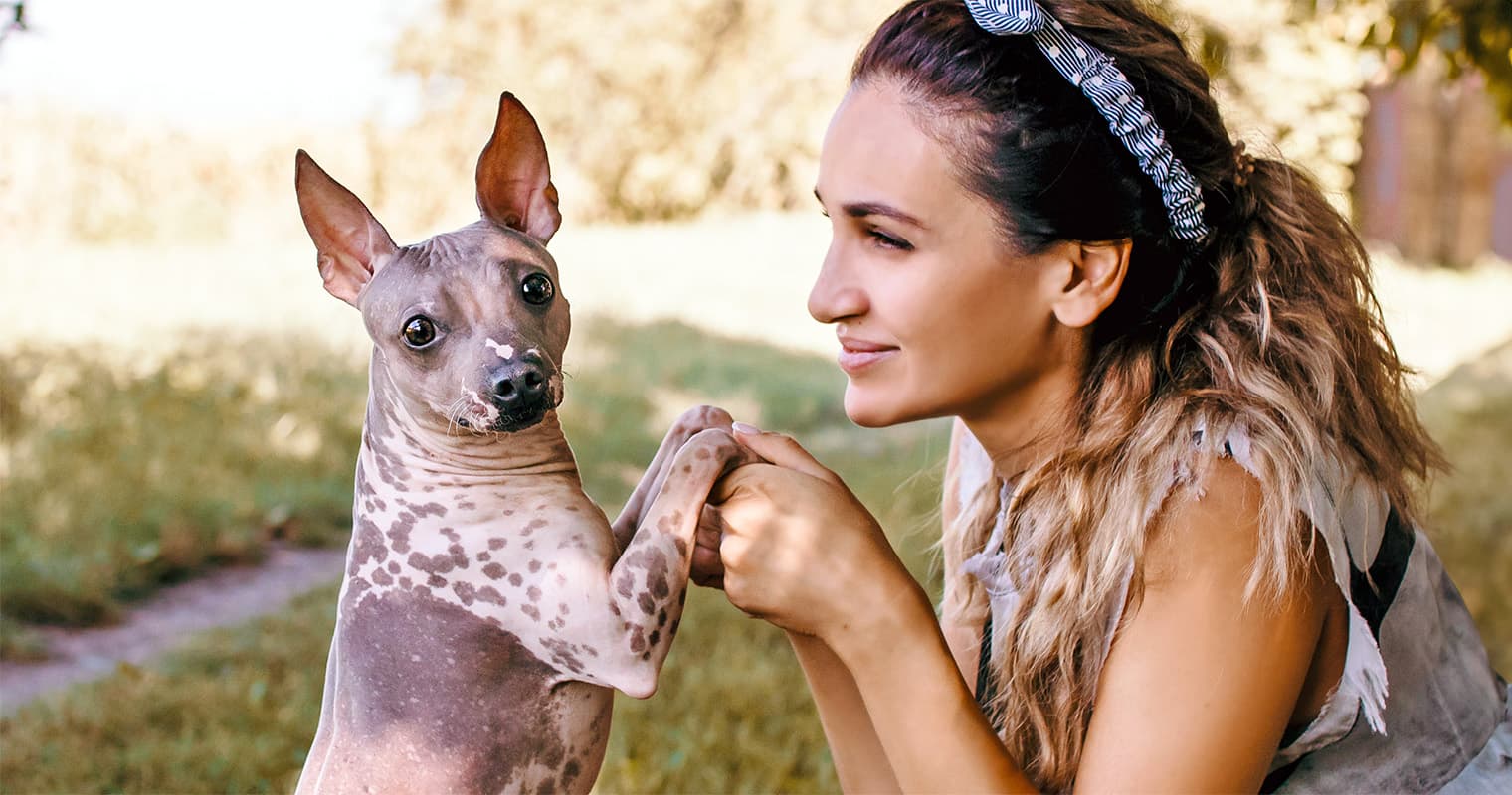 Best Dogs for Hot Weather