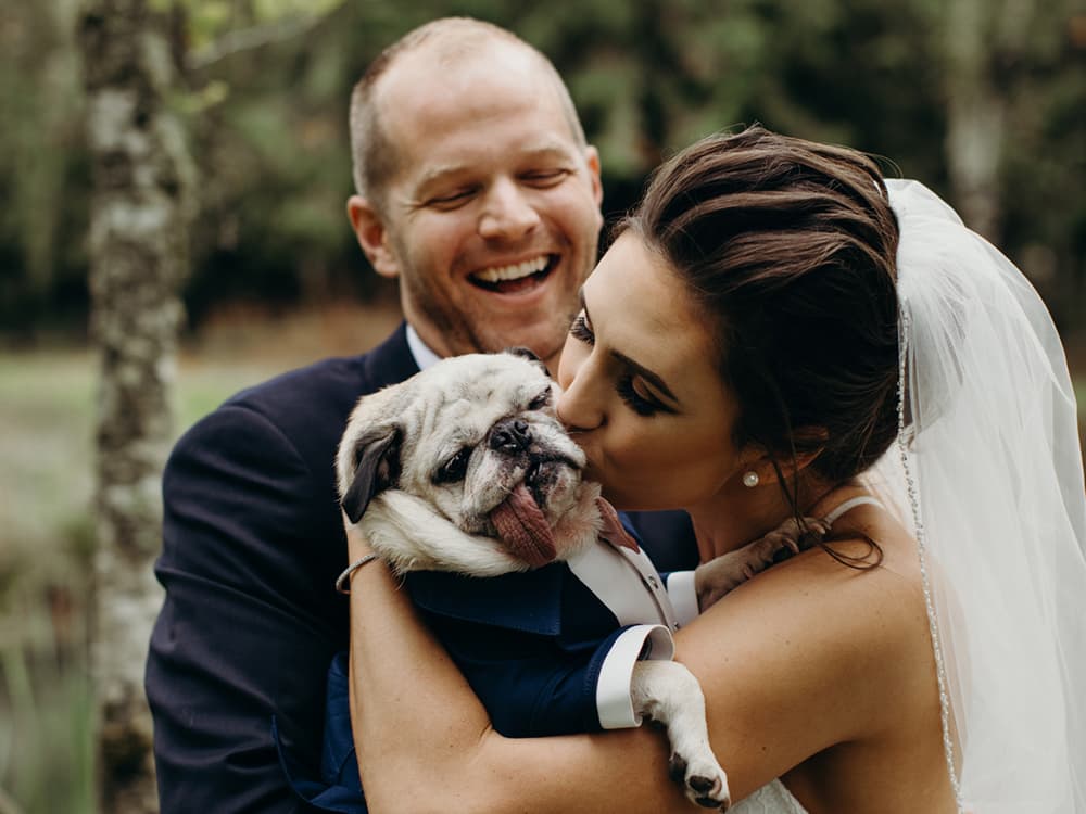 Want Your Dog to be the Witness at Your Wedding? It’s Possible in These 23 States