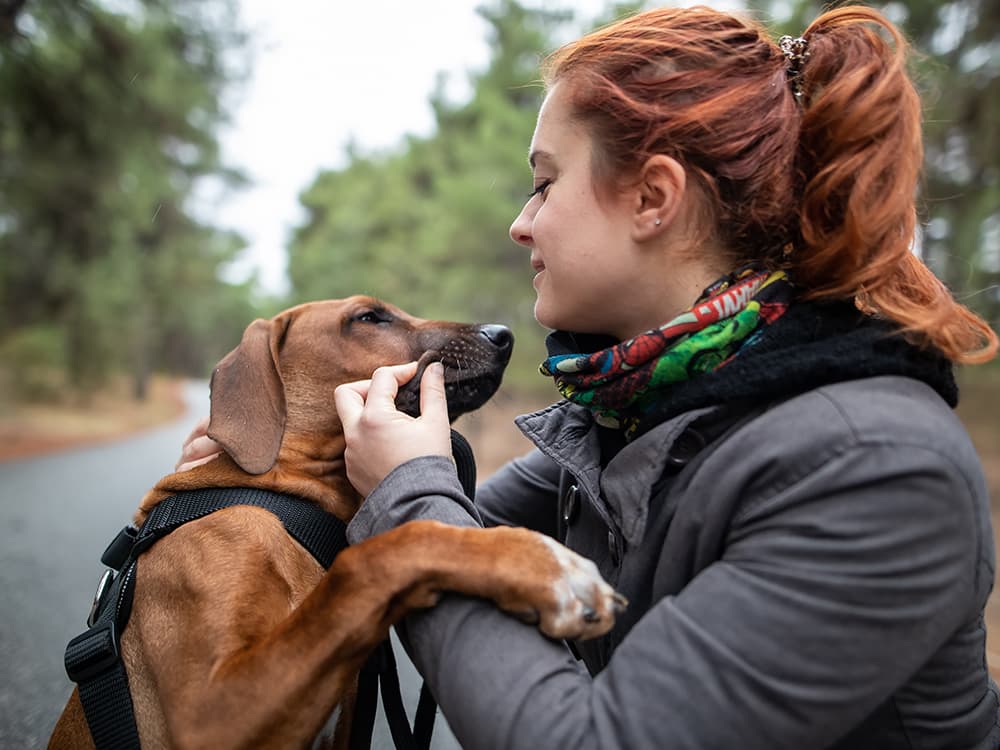 How to Treat Epilepsy in Your Dog Holistically