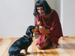 Your Dog Should Do This 30-Day Training Challenge