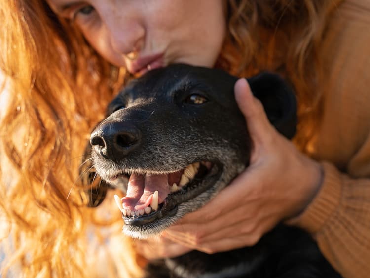 They’re Just Like Us: Dogs Get Gingivitis