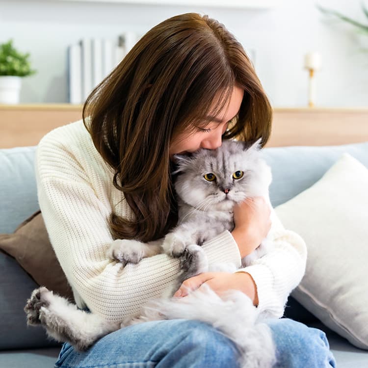 Why Your Cat Doesn’t Like to Cuddle—And How to Change That