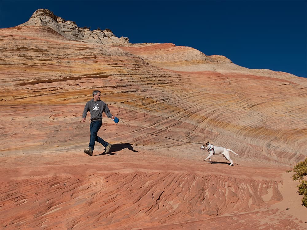 man taking shelter dog out on a hike
