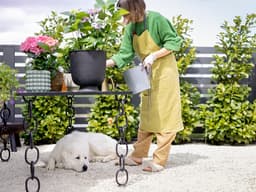 Follow These 4 Pet-Safe Pest Control Tips for Your Summer Garden