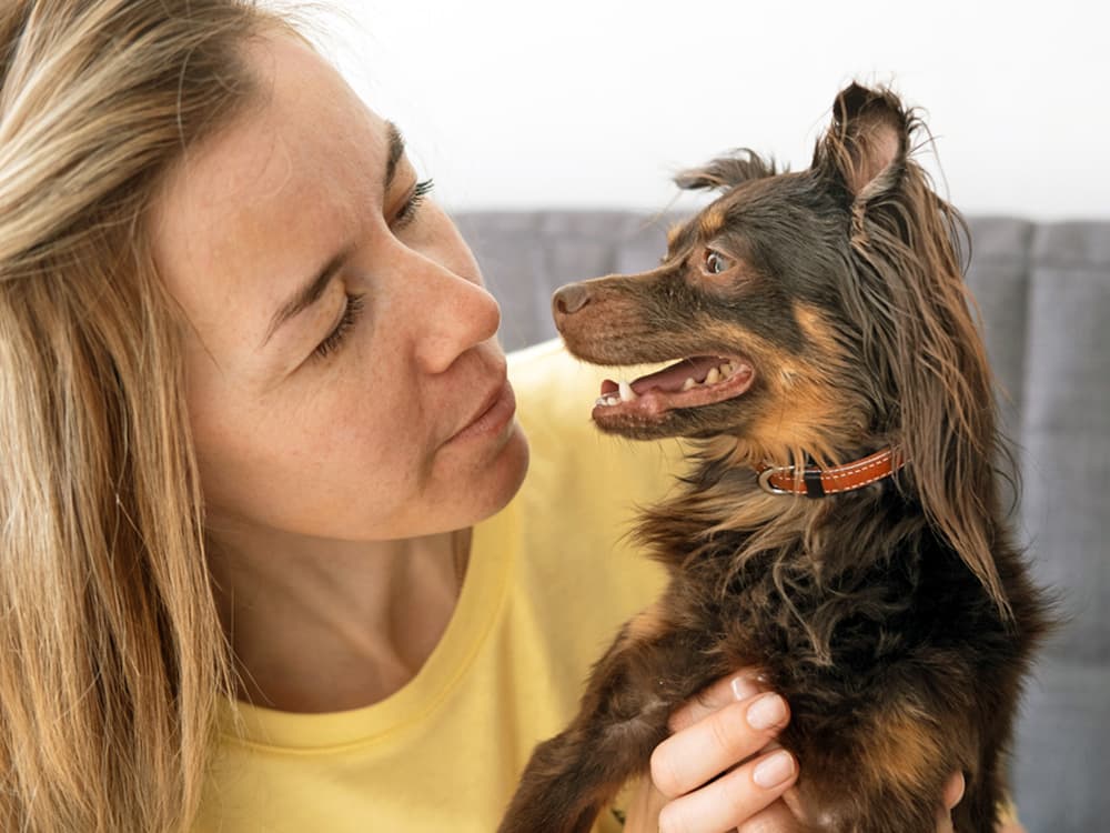 The 4 Most Misunderstood Dog Behaviors