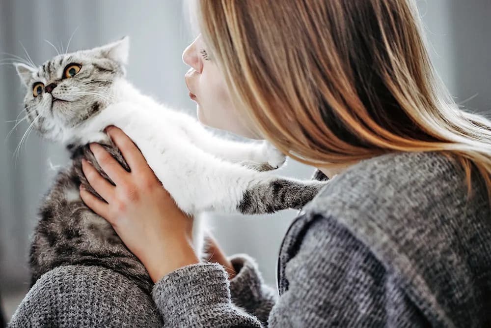 cat running away from overly pushy person