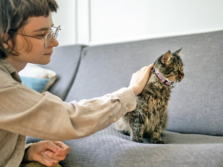 How to Say Sorry So Your Cat Actually Gets It