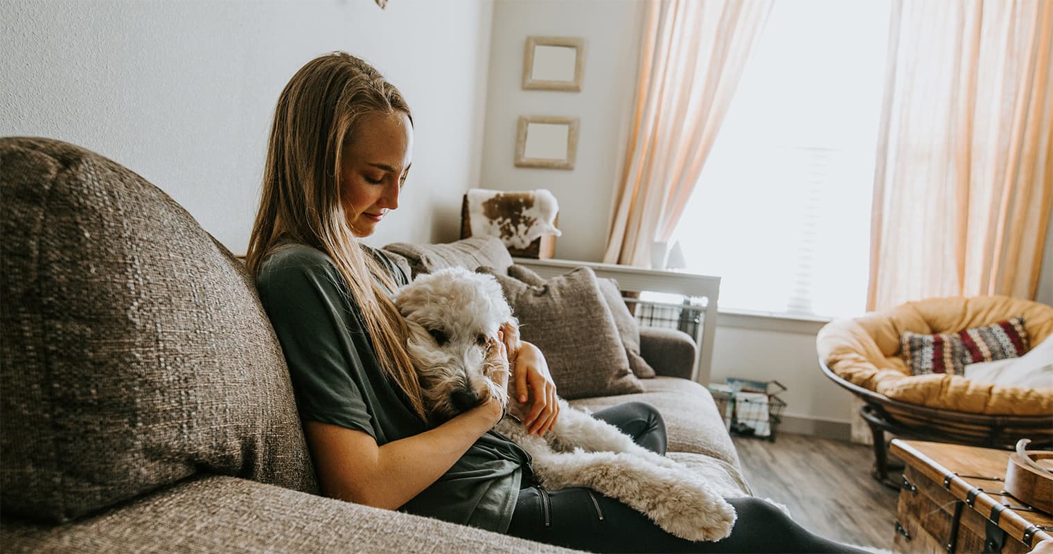 Did You Know You Can ‘Test Drive’ a Pet Adoption?