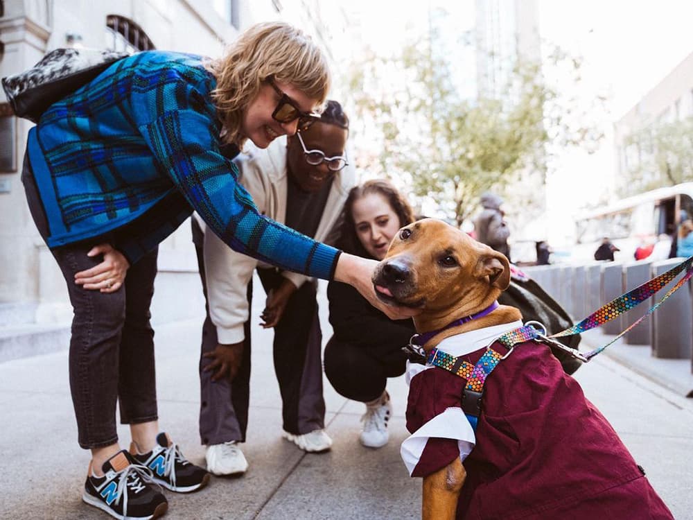 How DIY Animal Rescuers Tell The Exhausting, Rewarding Stories of Their Work