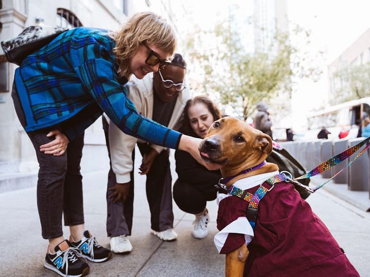 How DIY Animal Rescuers Tell The Exhausting, Rewarding Stories of Their Work