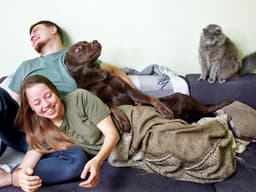 So, You and Your Partner Want to Live Together—But Your Pets Don’t