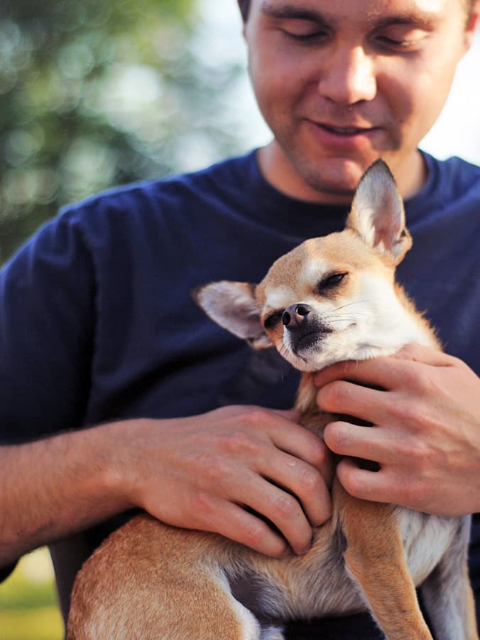 10 Dog Breeds with the Longest Lifespans