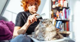 How to Treat Cats for Fleas Without a Bath