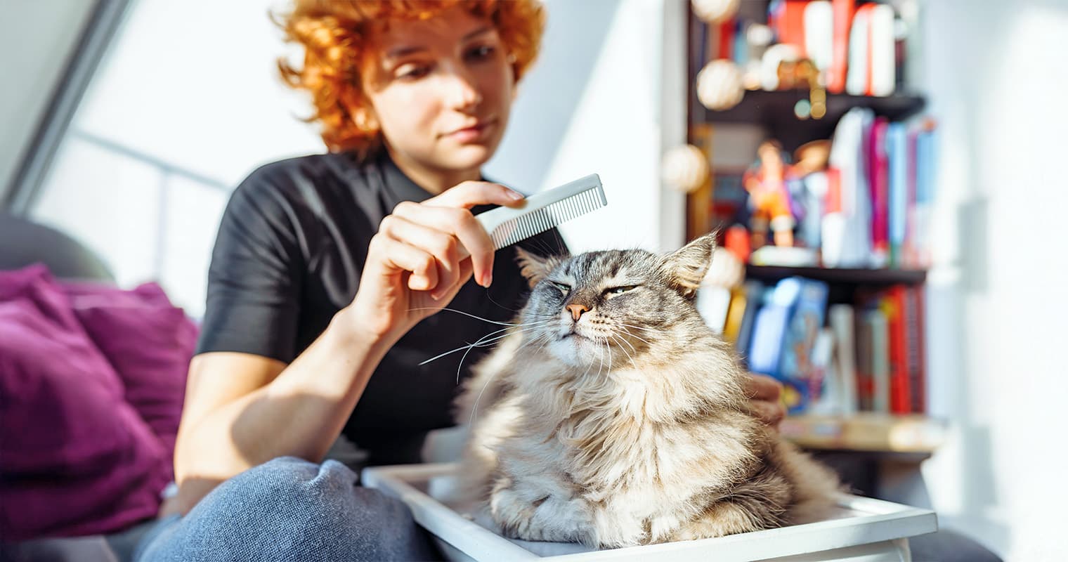 How to Treat Cats for Fleas Without a Bath