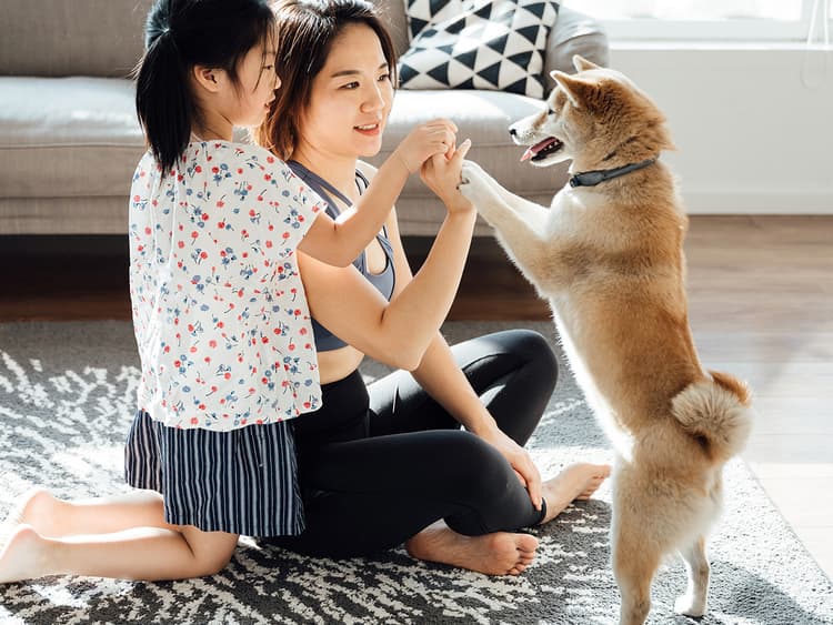 How to Introduce Your New Dog to Your Kids