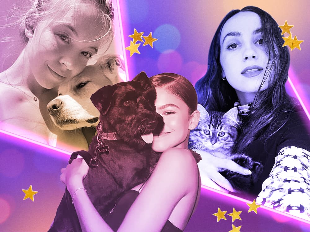 The “Euphoria” Cast’s Pets Have Us Starstruck