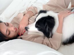 The Best Home Remedies for Your Dog’s Cough
