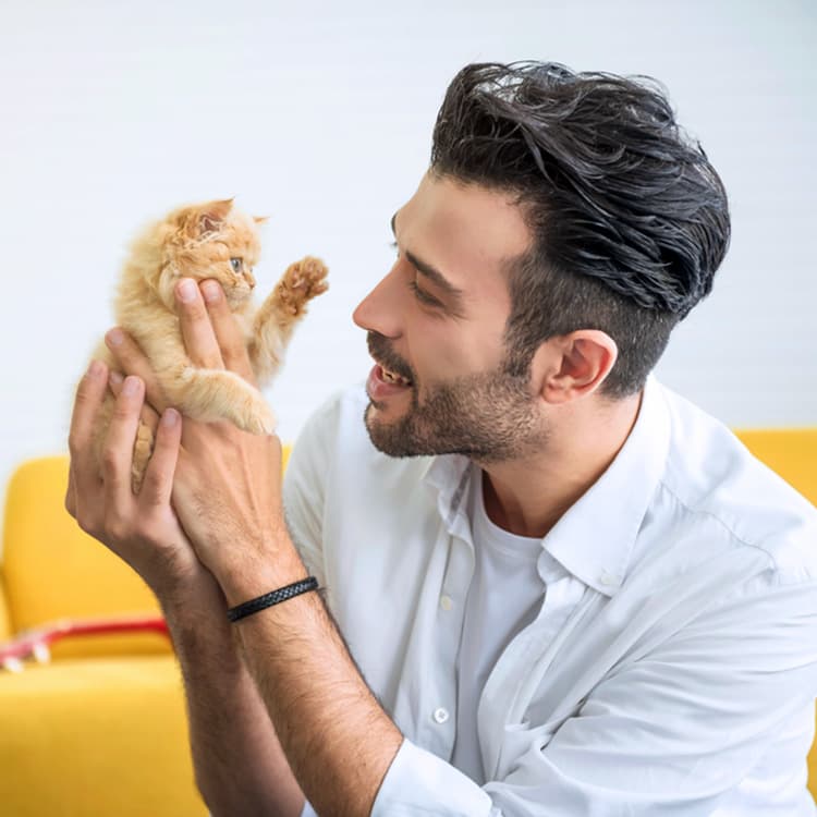 Everything You Need to Get Before Bringing Home a New Cat