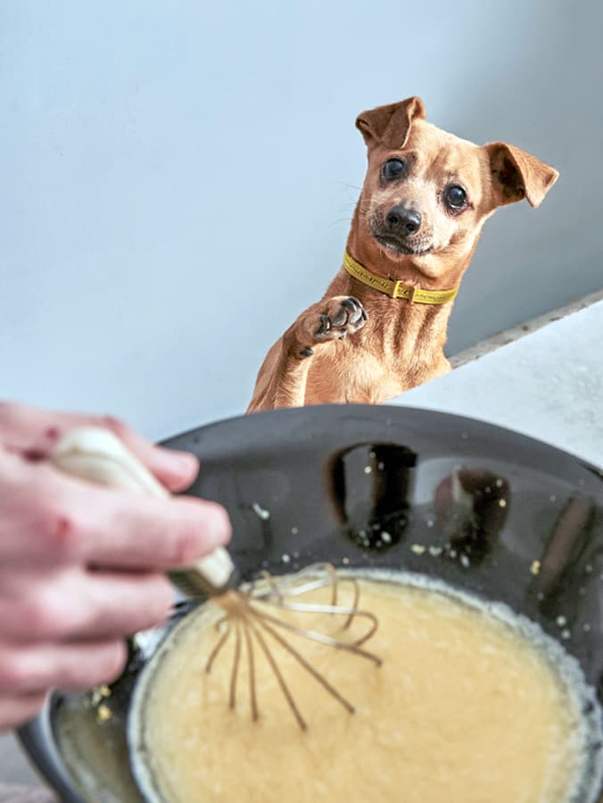 Crunchy Peanut Butter and Flaxseed Dog Biscuits Recipe