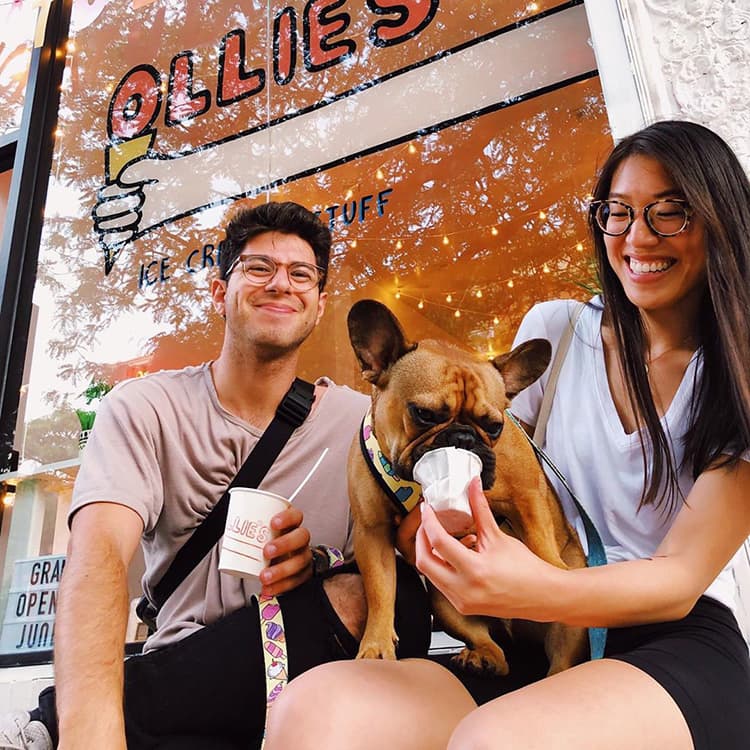 Finally, An Ice Cream Parlor for Your Pup