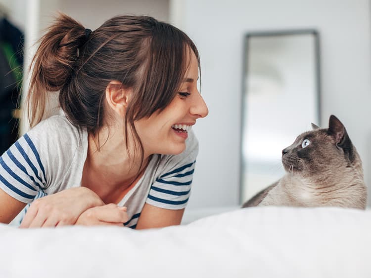 What to Know About Eye Infections in Cats