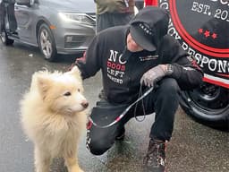 50 Dogs and Cats Were Rescued from the Yulin Dog Meat Festival