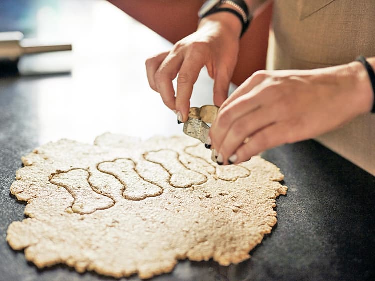 Savory Pumpkin and Peanut Butter Cookies for Dogs Recipe
