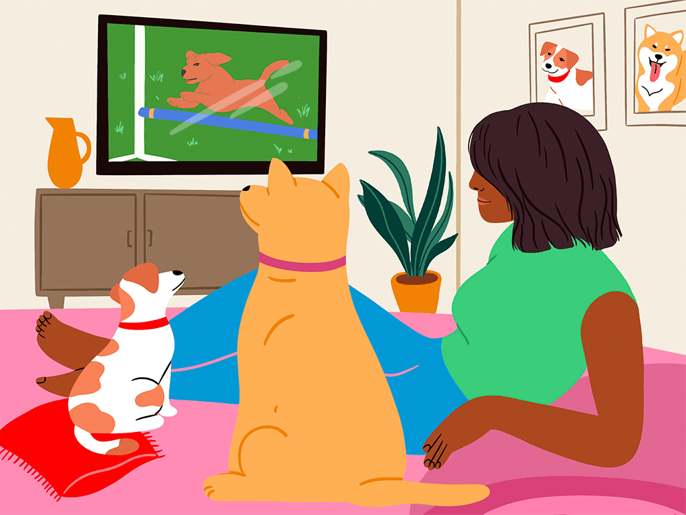 Dogs Love to Watch TV, New Study Says—But Should You Let Them?