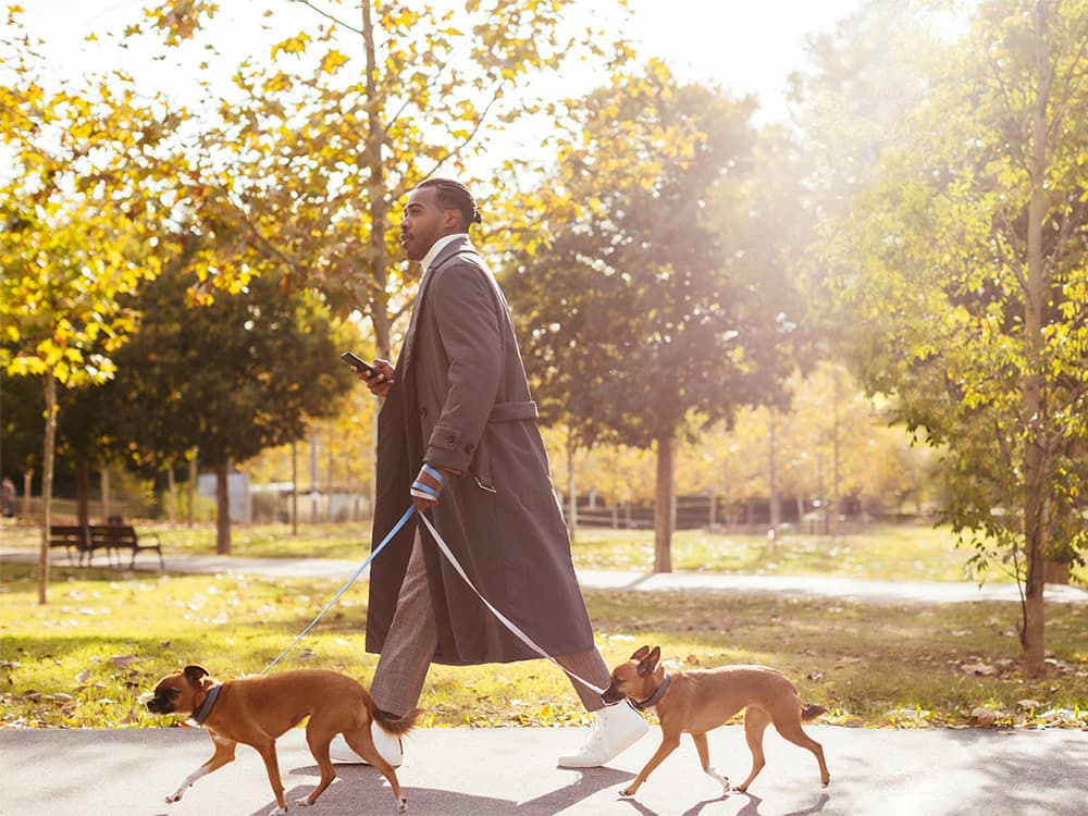 5 Climate Developments That’ll Make Being an Eco-Friendly Pet Parent a Little Easier