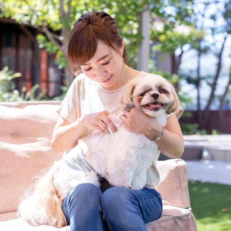 What to Do About Bug Bites on Your Dog