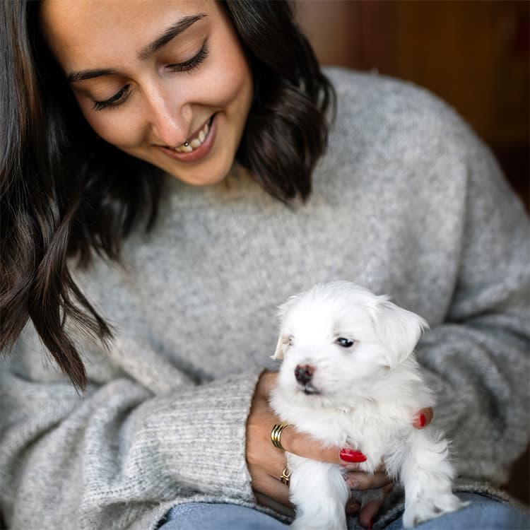 Yes, Your Dog Needs a Rabies Shot—Here’s the Deal