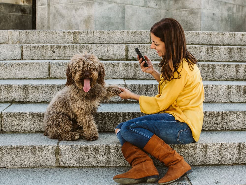 How to Train Your Dog to Pose for Photos