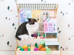 Bocce’s Bakery Is Cooking Up Cat Treats