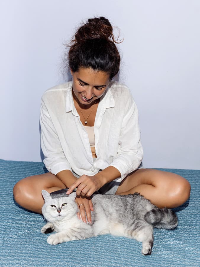 The 14 Best Cat Brushes to Buy in 2026