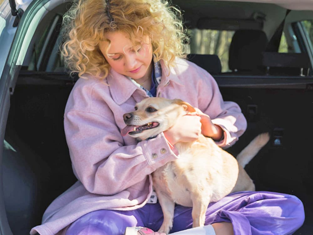 What to Do If Your Dog Has Hives