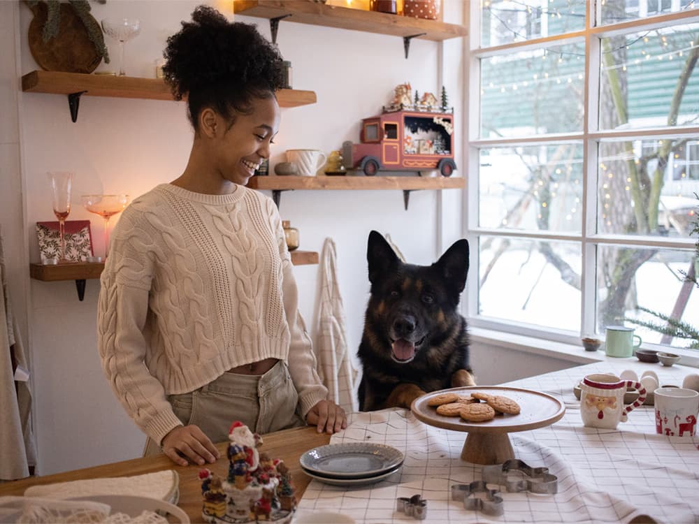 5 Ways to Keep Your Dog Happy (and Safe) During the Holidays