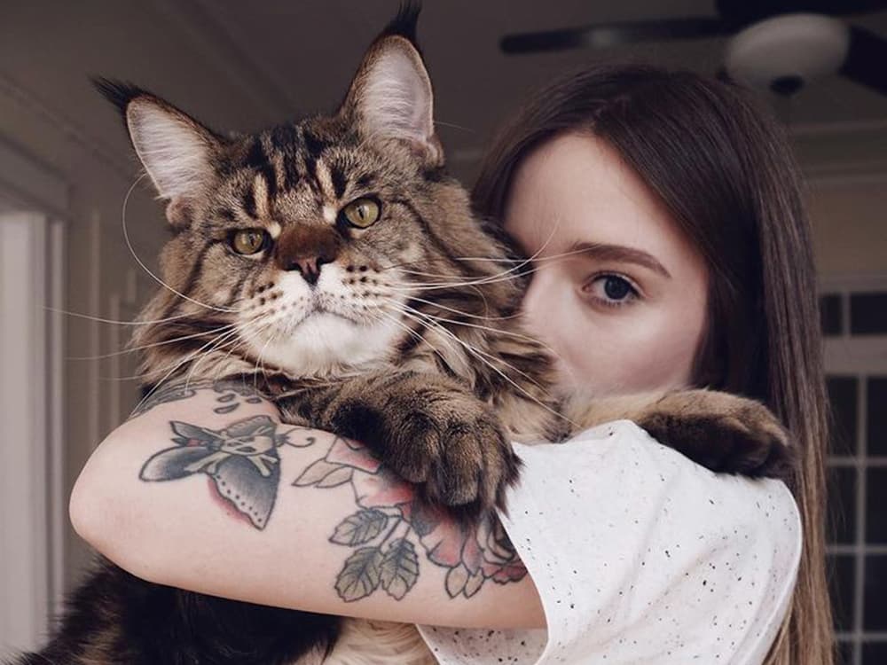 Tattoo Artist Katya Krasnova Is The Definition Of A “Cat Person”