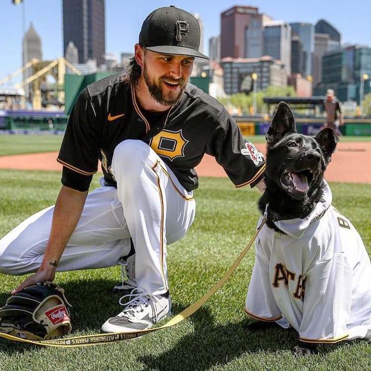 These Major League Teams Give Their All for Animal Advocacy