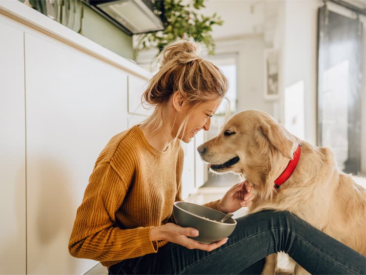 Can Dogs Eat Yogurt?