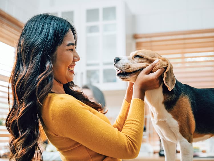 Dog and Human Brains Sync When They Stare Into Each Other’s Eyes, New Study Finds
