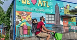 Best Dog Breeds for Living in Atlanta