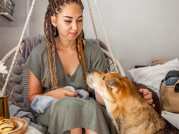 Learn How to Make a Crochet Pet Bed