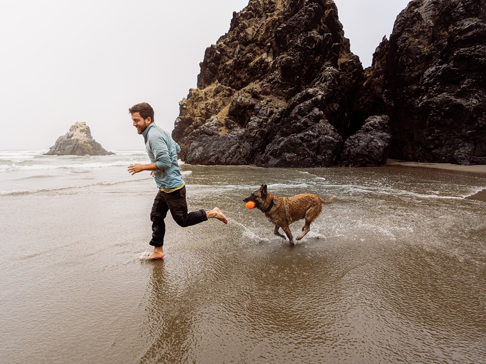 8 Reasons It’s Better to Be a Dog Now than 25 Years Ago
