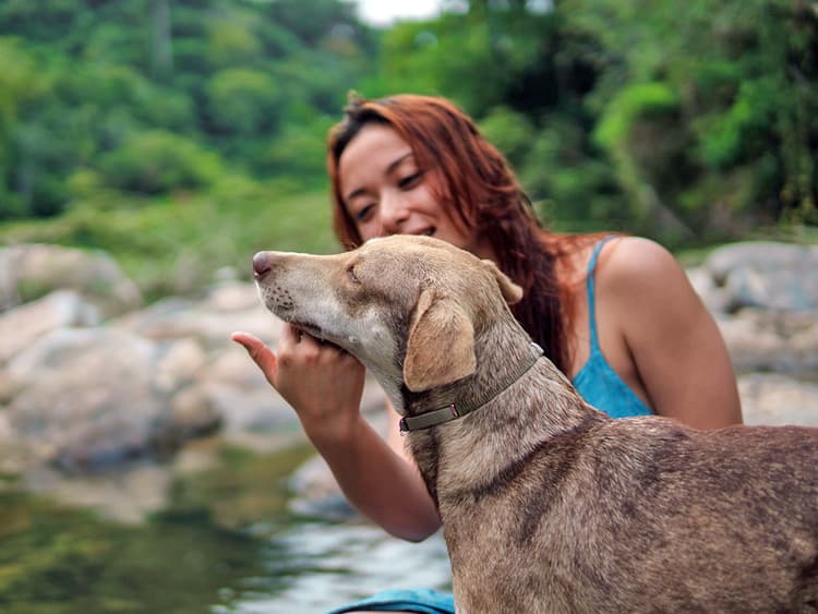 Dogs Actually Like It When You Talk to Them in a Baby Voice, Study Says