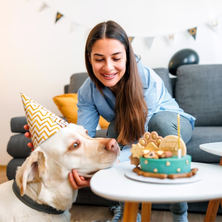 Dog-Age Chart: Calculating Your Dog’s Age in Human Years