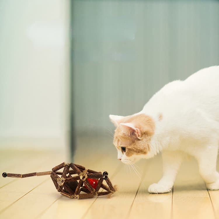 This Catnip Alternative Will Blow Your Cat’s Mind