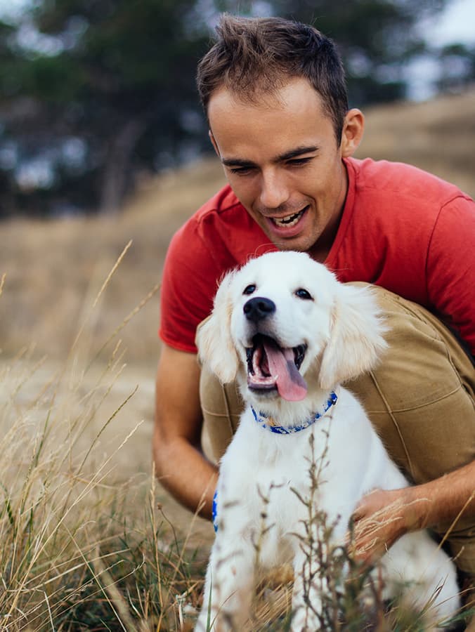 When Should You Spay or Neuter Your Dog?